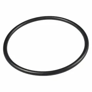 WESTWARD TTM400010G O-Ring | CU9YEK 45N698