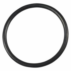 WESTWARD TTR4420711G O-Ring 25.5x2.0 | AH9YEK 45R870