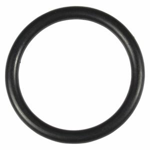 WESTWARD TTR8212408G O-Ring | AH9YCR 45R744