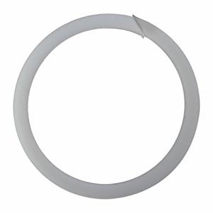 WESTWARD TTR8212409G Back Up Ring | AH9YCQ 45R743