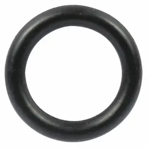 WESTWARD TTR8212412AG O-Ring | AH9YCK 45R736