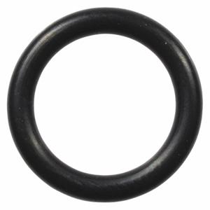 WESTWARD TTR8212412G O-Ring | AH9YCM 45R738