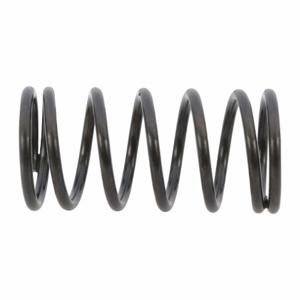 WESTWARD TTR8212433G Valve Pressure Spring | AH9YBV 45R702