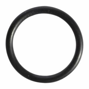 WESTWARD TTR8212438G O-Ring | AH9YBR 45R695