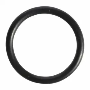 WESTWARD TTR8212438G O-Ring | AH9YBR 45R695