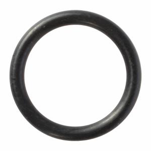 WESTWARD TTR8214927G O-Ring | AH9XZA 45R540