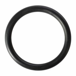 WESTWARD TTR8214950G O-Ring | AH9XYJ 45R515