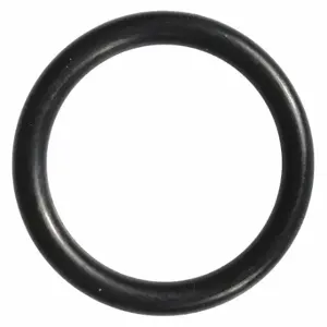 WESTWARD TTR8215022G O-Ring | CU9YDZ 45R478