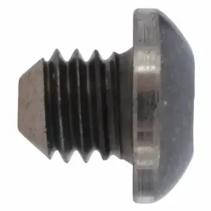 WESTWARD TTR8215054G Socket Screw | CU9ZLC 45R446