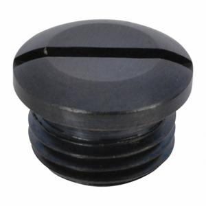 WESTWARD TTRB44204K06G Valve Cap | AH9XXZ 45R394