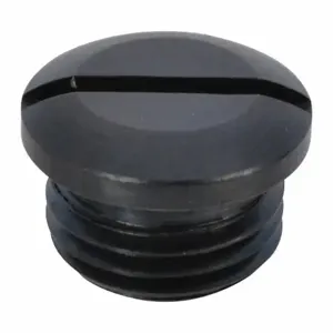 WESTWARD TTRB44204K06G Valve Cap | AH9XXZ 45R394