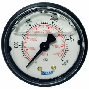 WIKA 113.13.20.5000.B Commercial Pressure Gauge, Liquid-Filled, 0 To 5000 PSI, 2 Inch Dial, 113.13 | CV3QGK 448M32