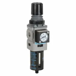 WILKERSON B08-02-FRG0B Filter-Regulator, 1/4 Inch NPT, 5 micron, 150 PSI, 70 CFM | CF2DZZ 55KD56