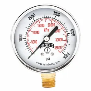 WINTERS INSTRUMENTS PEM292 Commercial Pressure Gauge, 0 To 5000 PSI, 2 1/2 Inch Dial, 1/4 Inch Npt Male, Steel | CV3RMP 491F20