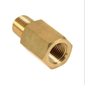WINTERS INSTRUMENTS SSN516-ADC Air Snubber, Porous Brass Element, Brass Body, 1/4 Inch Male Npt x 1/4 Inch Female Npt | CV6WFL