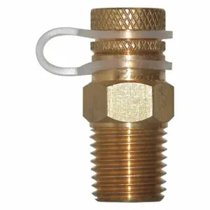 WINTERS INSTRUMENTS STP001 Pressure Test Plug, Brass, 1/4 Inch Npt, 302 Deg F Max Op Temp | CV3TPH 52JG26