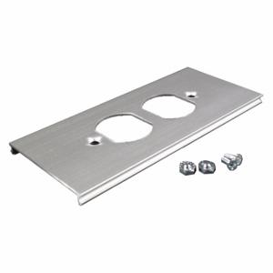 WIREMOLD AL3346D Duplex Cover Plate, Al3300, Aluminum, Gray | CV3TZM 26Y133