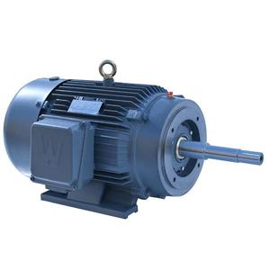 WORLDWIDE ELECTRIC PEWWE10-18-215JP Close Coupled Motor, TEFC, 10 HP, 1800 RPM, 215JP Frame, C Face with Feet | CJ8RQE