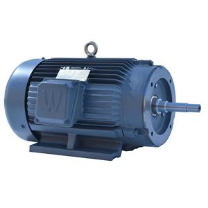 WORLDWIDE ELECTRIC PEWWE30-36-286JM Close Coupled Motor, TEFC, 30 HP, 3600 RPM, 286JM Frame, C Face with Feet | CJ8RWD