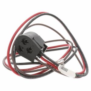 YORK S1-025-31883-000 Wire Harness, 3 Wire With Plug | CV4GFQ 209F23