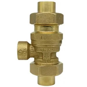 ZURN 34-760C Dual Check Valve Backflow Preventer With Atmospheric Vent, 3/4 Inch Size | CV8NAT