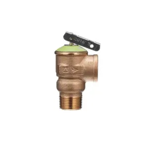 ZURN P1000AXL-125C Pressure Relief Valve Set at 125 PSI | CV8NLJ