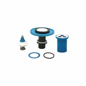 ZURN P6000-EUA-EWS-RK Diaphragm Assembly, For Flush Valve Type Manual, Urinals, 0.5 Gallon per Flush | CF2JZP 468D64