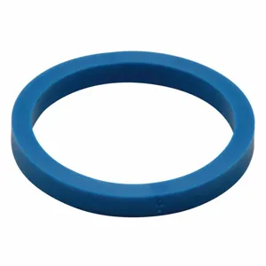 ZURN P6000-H27 Gasket | CF2BWE 21TE66