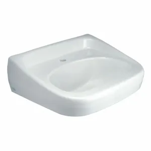 ZURN Z5341 Lavatory Sink, 20 Inch x 18 Inch, Vitreous China | CE9BJW 53AZ19