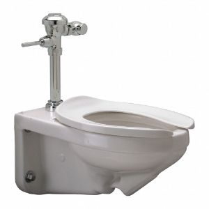 ZURN Z5615.258.01.00.00 Single Flush, Oscillating Handle, Two Piece, Flush Valve Toilet, Elongated | CE9GFK 45A153