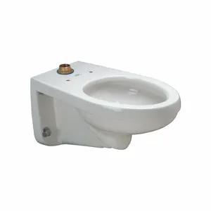 ZURN Z5615-BWL Elongated, Wall, Flush Valve, Toilet Bowl, 1.1 Gallon per Flush | CF2JBJ 38ZL47