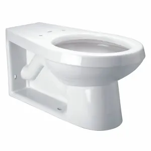 ZURN Z5637-BWL Elongated, Floor with Back Outlet, Flush Valve, Toilet Bowl | CF2JCY 48RT66