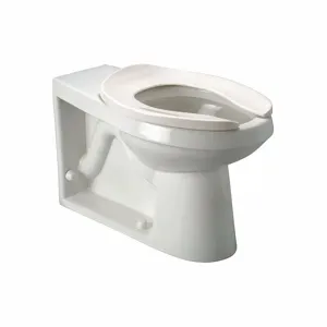 ZURN Z5647-BWL Elongated, Floor with Back Outlet, Flush Valve, Toilet Bowl | CF2JCX 31TU39