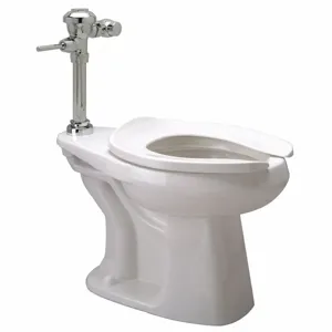 ZURN Z5655.258.00.00.00 Single Flush, Oscillating Handle, Two Piece, Flush Valve Toilet, Elongated | CE9GFD 45A131