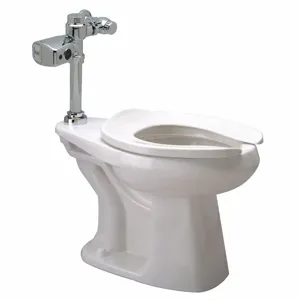 ZURN Z5666.243.00.00.00 Single Flush, Sensor, Two Piece, Bedpan Flush Valve Toilet, Elongated | CE9GFB 45A139