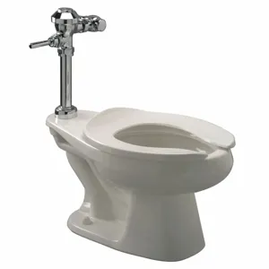 ZURN Z5666.258.00.00.00 Single Flush, Oscillating Handle, Two Piece, Bedpan Flush Valve Toilet | CE9GFM 45A140