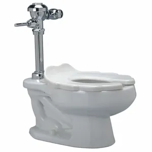 ZURN Z5675.001.09.00.00 Single Flush, Oscillating Handle, Two Piece, Flush Valve Toilet, Elongated | CE9GFF 45A148