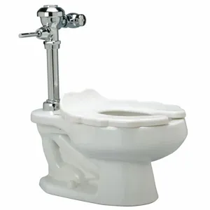 ZURN Z5675.258.09.00.00 Single Flush, Oscillating Handle, Two Piece, Child Flush Valve Toilet, Elongated | CE9GFL 45A150