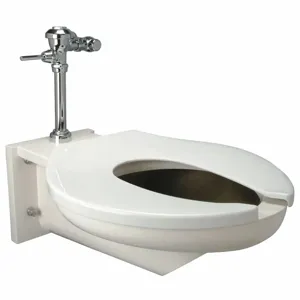 ZURN Z5691.258.18.00.00 Single Flush, Oscillating Handle, Two Piece, Flush Valve Toilet, Elongated | CE9GFG 46CD85