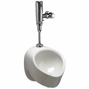 ZURN Z5708.205.00 Vitreous China, White, Siphon Jet Urinal & Automatic Flush Valve, Wall, Top | CE9CBE 6RKH3