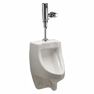 ZURN Z5738.205.00 Vitreous China, White, Washout Urinal & Automatic Flush Valve, Wall, Top | CE9CAT 38ZL45