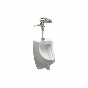ZURN Z5738.207.00 Glasporzellan, weiß, Auswasch-Urinal und manuelles Spülventil, Wand, oben | CE9CAR 38ZL46