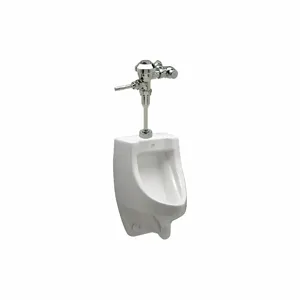 ZURN Z5738.207.00 Vitreous China, White, Washout Urinal & Manual Flush Valve, Wall, Top | CE9CAR 38ZL46