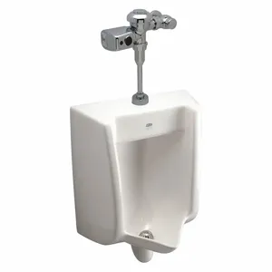 ZURN Z5755.236.00 Vitreous China, White, Siphon Jet Urinal & Automatic Flush Valve, Wall, Top | CE9CBD 34TE15