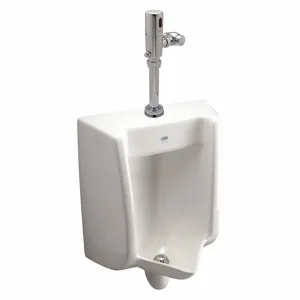 ZURN Z5755.380.00 Vitreous China, White, Siphon Jet Urinal & Automatic Flush Valve, Wall, Top | CE9CBB 34TE13