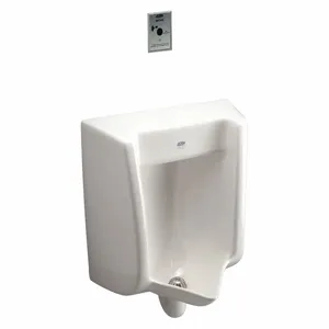 ZURN Z5765.390.00 Vitreous China, White, Siphon Jet Urinal, Wall, Back | CE9CAY 34TE17