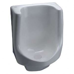 ZURN Z5795 Vitreous China, White, Waterless Urinal, Wall | CE9CAG 25CH48