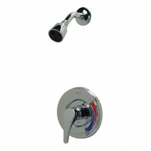 ZURN Z7301-SS-MT Metal Wall Mounted Shower Head Kit, 2.5 Gpm, 1/2 Inch FNPT Connection Type | CE9VWL 22LU12