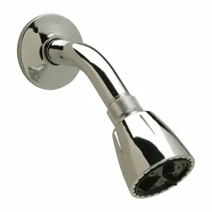 ZURN Z7302-SS-MT Shower Head, Wall Mounted, Chrome, 2.5 Gpm | CE9HJY 22LU13